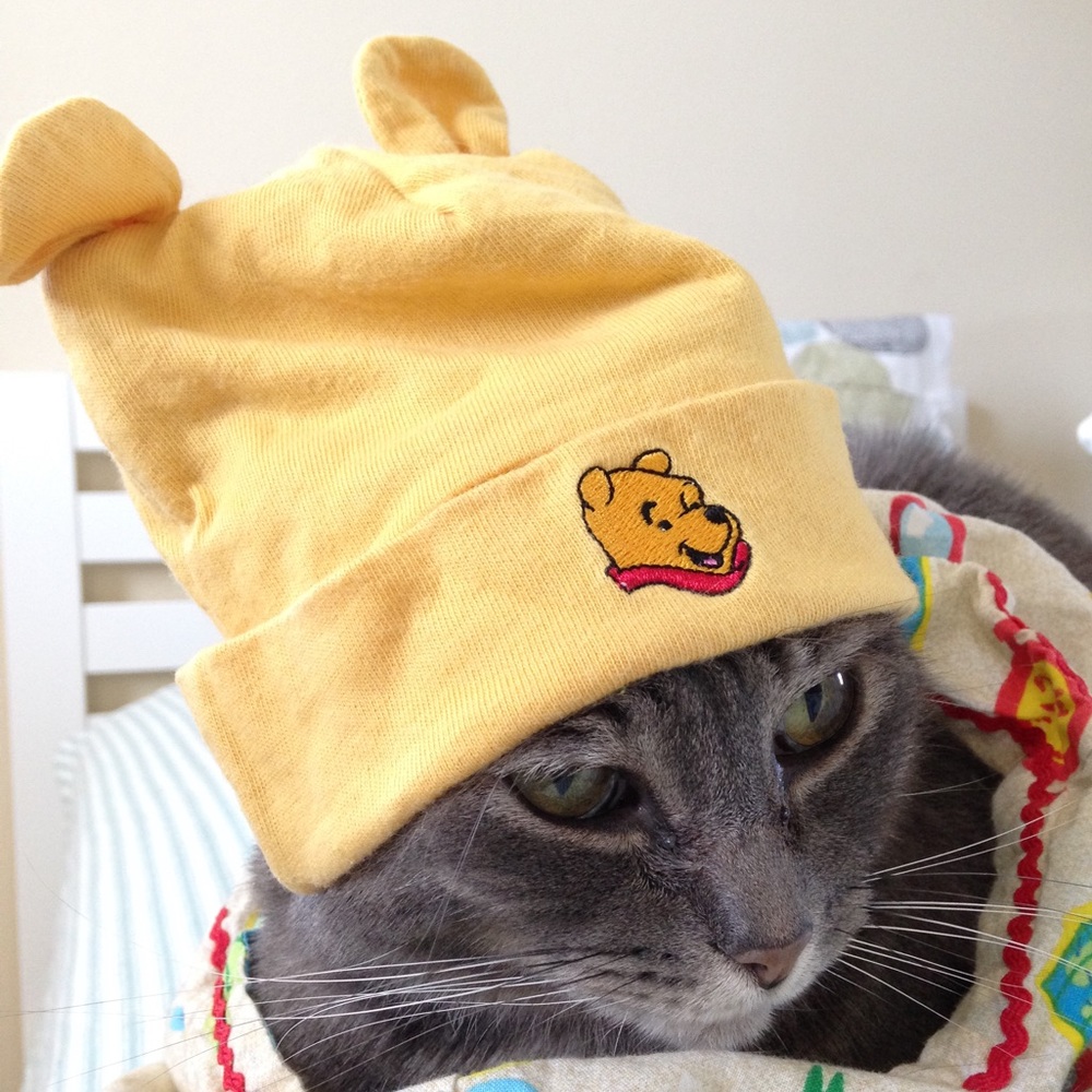 Meet your Posher, Eloise